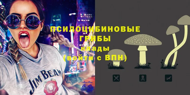 Псилоцибиновые грибы Magic Shrooms  Нюрба 